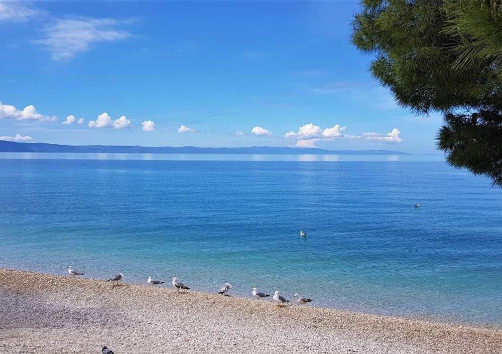 Apartmani Mirona - Tučepi Eksteriør billede